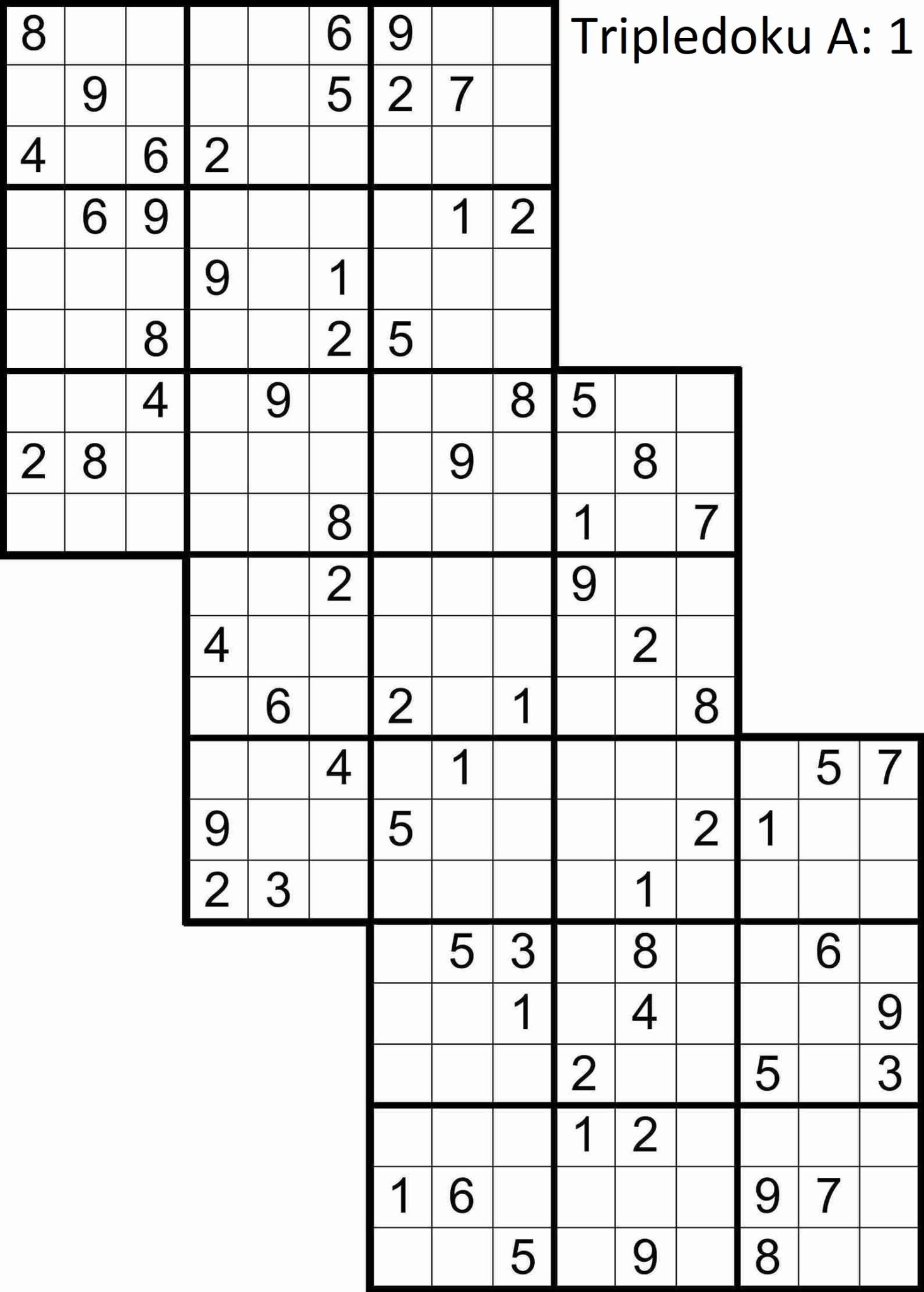 302-large-print-sudoku-puzzles-14-variations-pdf