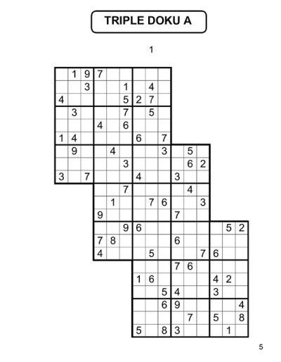 302 Large Print Sudoku Puzzles. 7 Variations. (PDF)